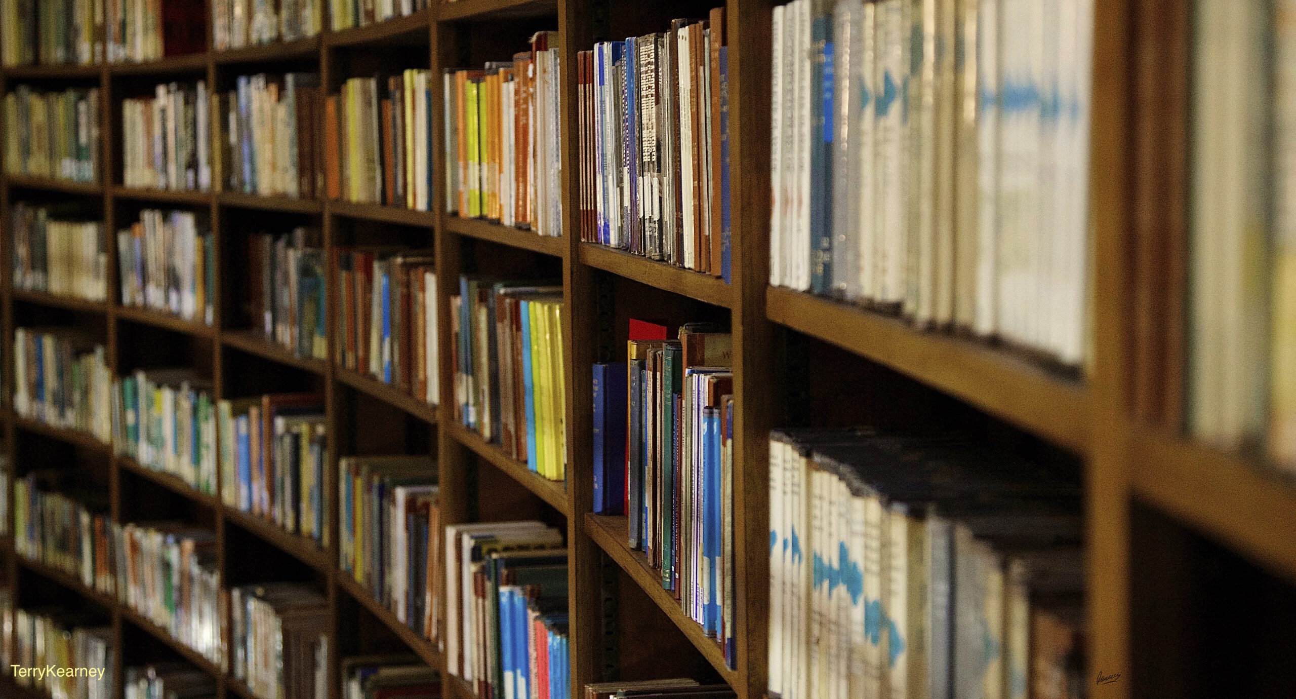 Crucial Books To Read During This Black History Month
