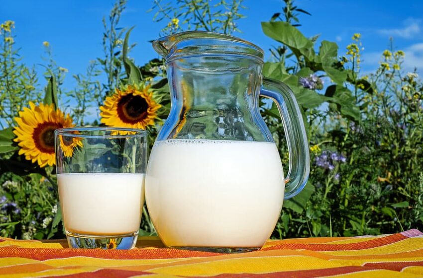  Living Green: From Almond to Oat – Your Ultimate Guide to Plant-Milks