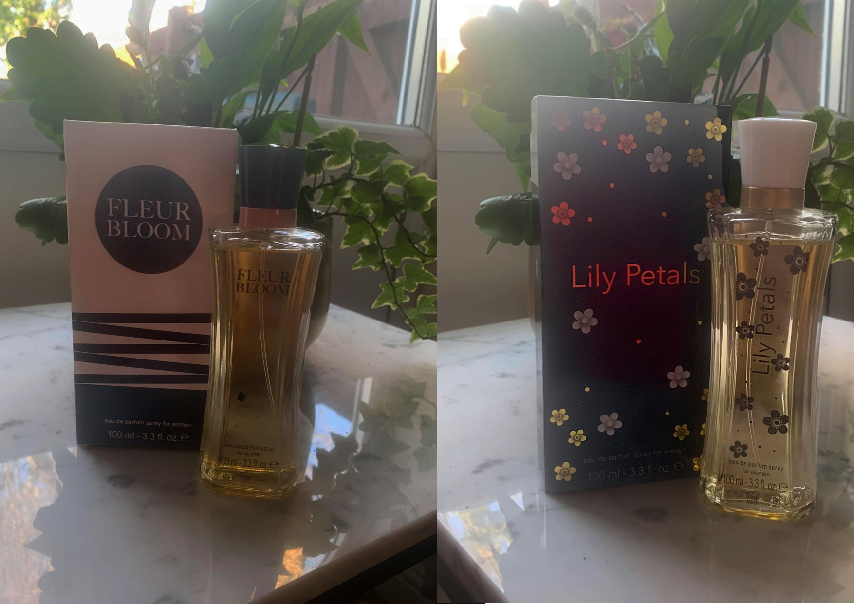 Poundland Perfumes Giving Marc Jacobs And Viktor Rolf A Run For Their Money The Gryphon Poundland Perfumes Giving Marc Jacobs And Viktor Rolf A Run For Their Money The Gryphon