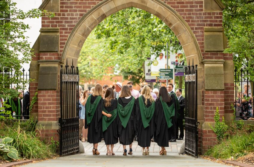 Off the Mark: Grade Inflation and the Essay Crisis