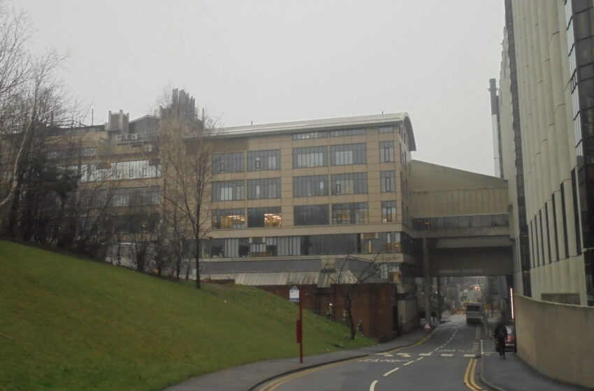 Destigmatising Whistleblowing: The Freedom to Speak Up Guardians of Leeds Med School