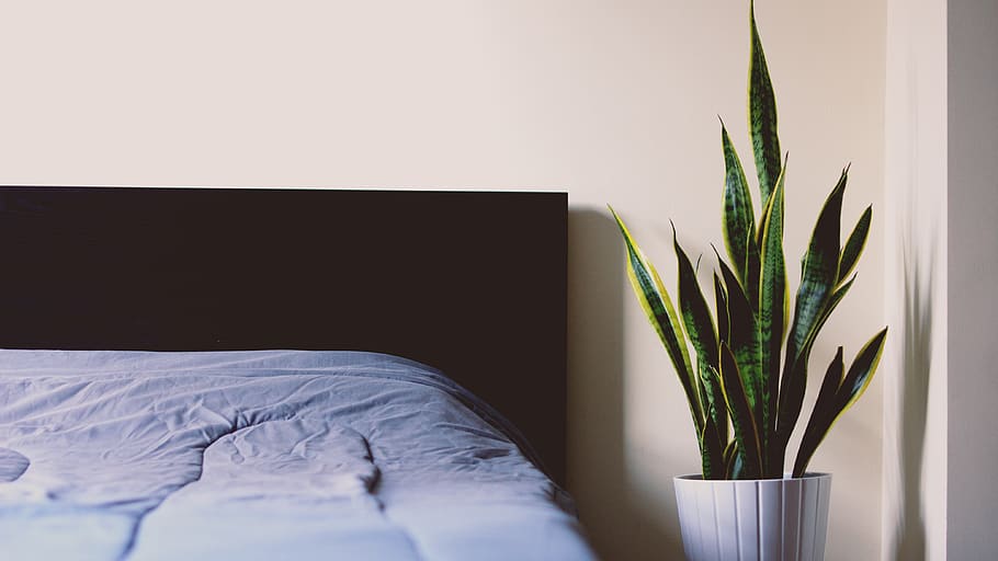 bed-sheet-sleep-relax