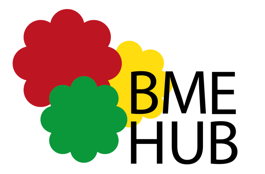 Interview with Leeds BME Hub