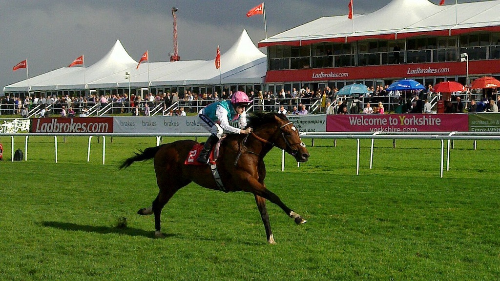 donny races