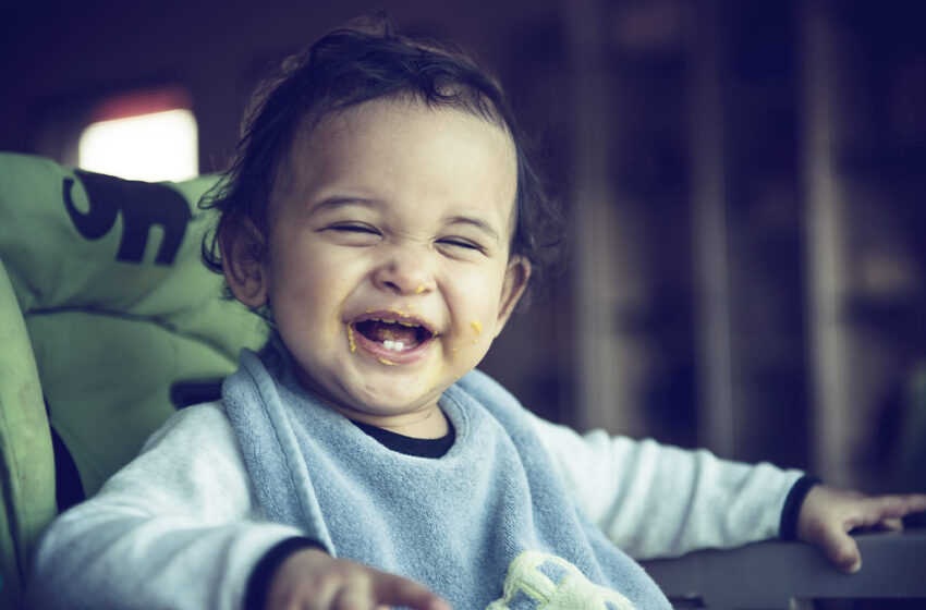  Going bananas: Infants found to laugh like apes