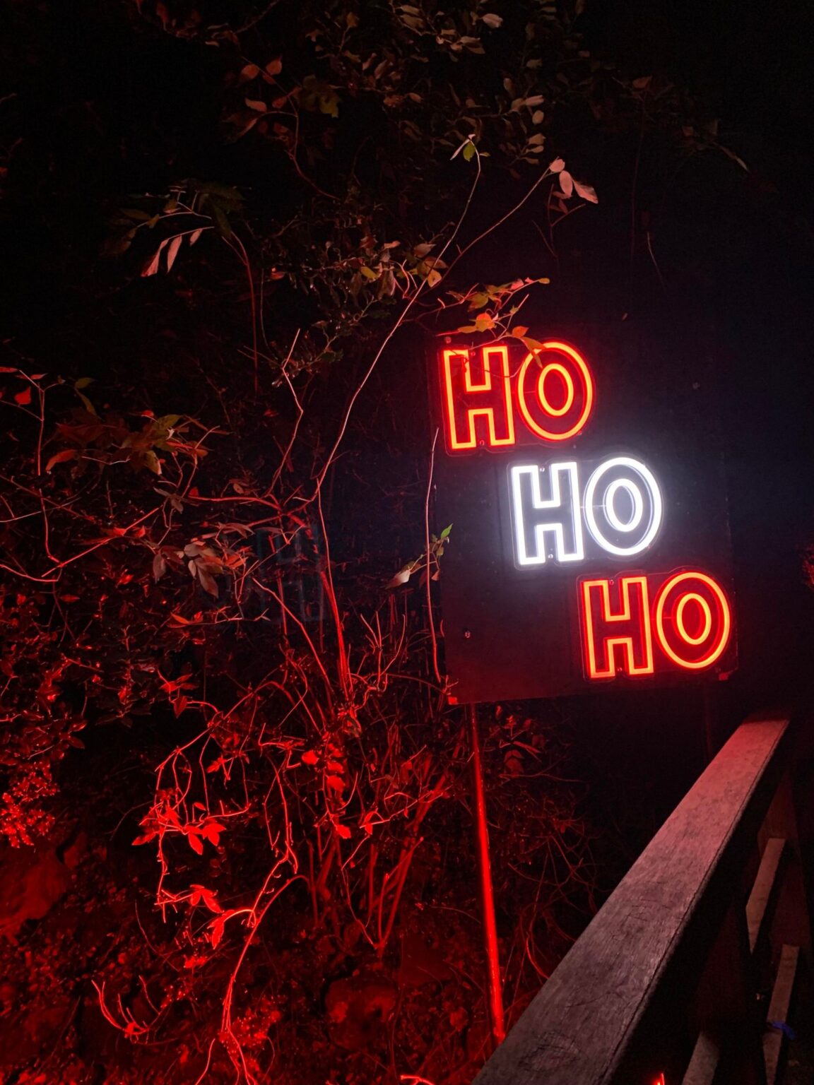 A Glimpse of Christmas at Temple Newsam The Gryphon