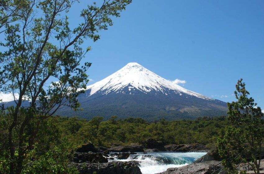 Private protected areas help conserve threatened regions, Leeds study shows