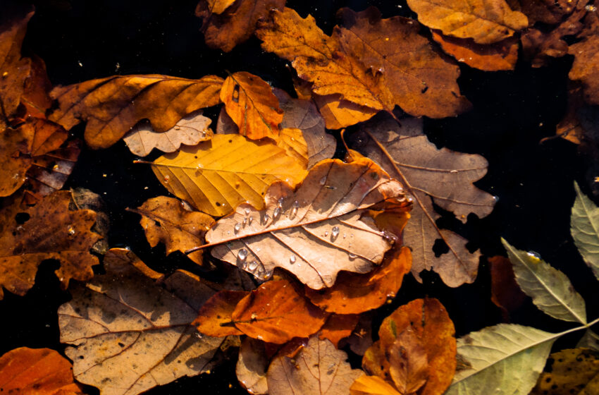  How to cope with Autumn anxiety
