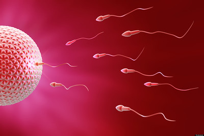  Where Is The Option For Male Contraception?