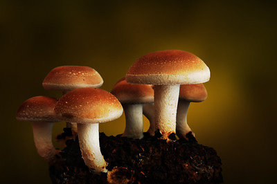 9405843789_b1b0d2c295_w