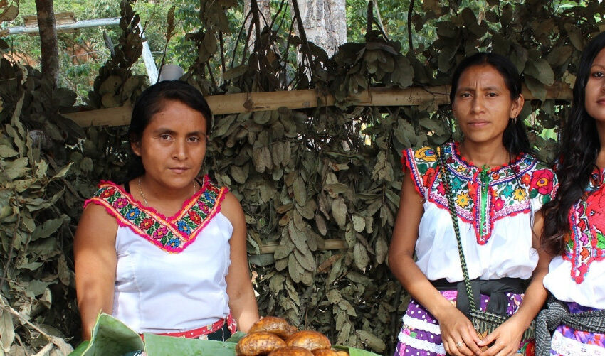  How Indigenous women can save the planet