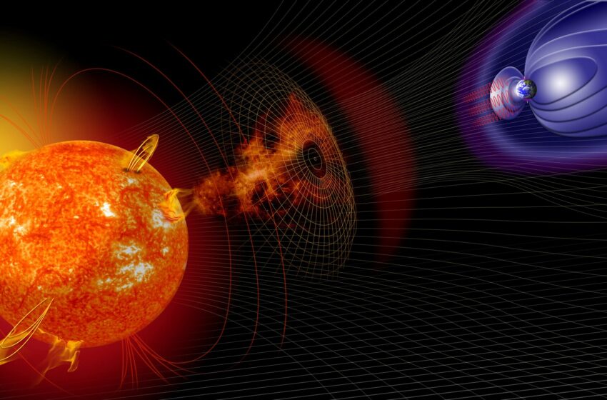  Researchers Identify Largest Ever Solar Storm using Ancient 14,300-year-old Tree Rings