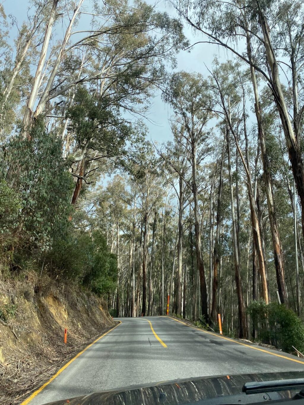 What can the LA wildfires teach us about the importance of Indigenous knowledge?