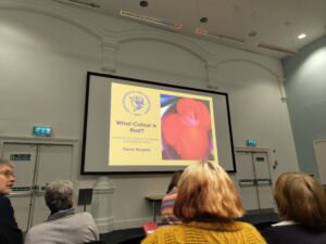 “It’s not brown, it’s sunset orange” – a review of ‘what colour is that?’