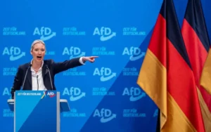 c9414252-alternative-for-germany