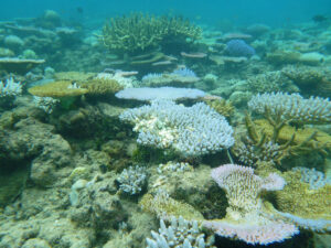 13754287985_0e816dac50_c