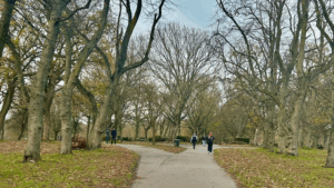 7dea73ae-75f8-4ff6-adb2-4a9b52fa6f47.jpg (2)