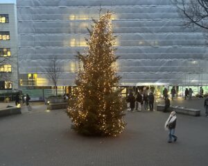 Image Credit: Shakeal Zaman