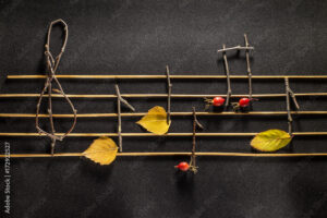 Image Credit: Adobe Stock