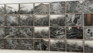 Image Credit: Luca Frigerio – Xavier Ribas’ El Silencio que Cae